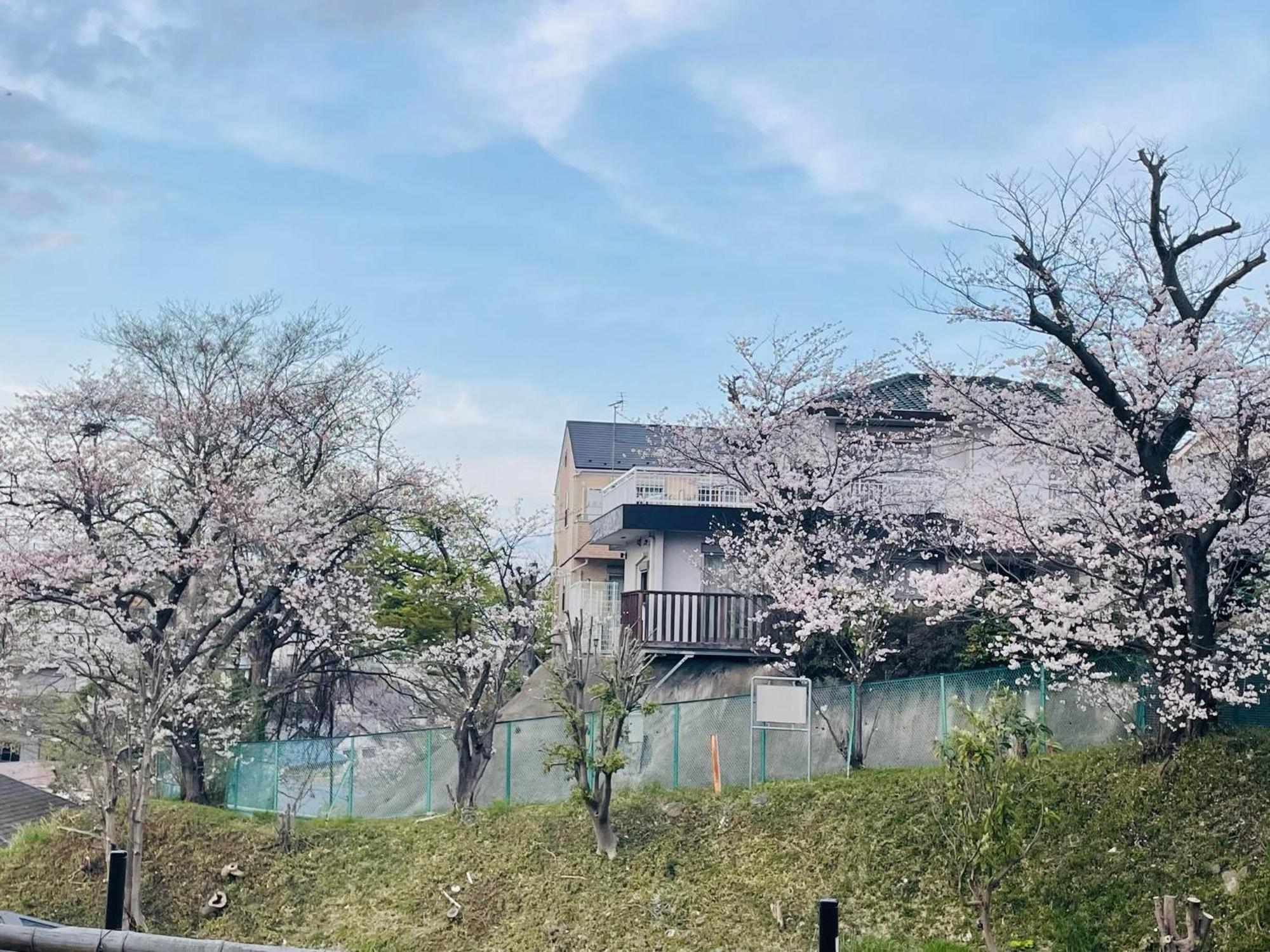 Hotel ソフィアハウス横浜 -女性専用シェアハウス- Sopfia House Yokohama For Women Only Shared House Extérieur photo